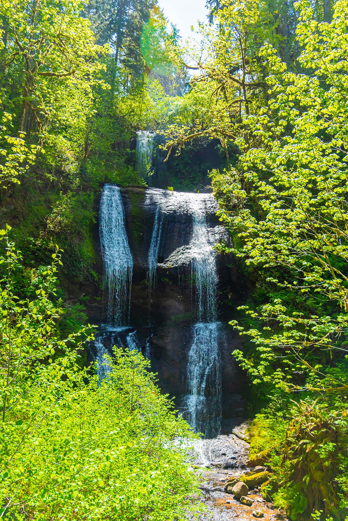 McDowell Creek Falls Loop Hike Image