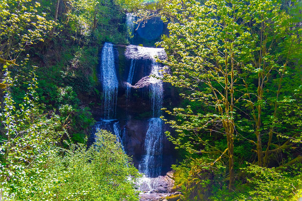 McDowell Creek Falls Loop Hike Image