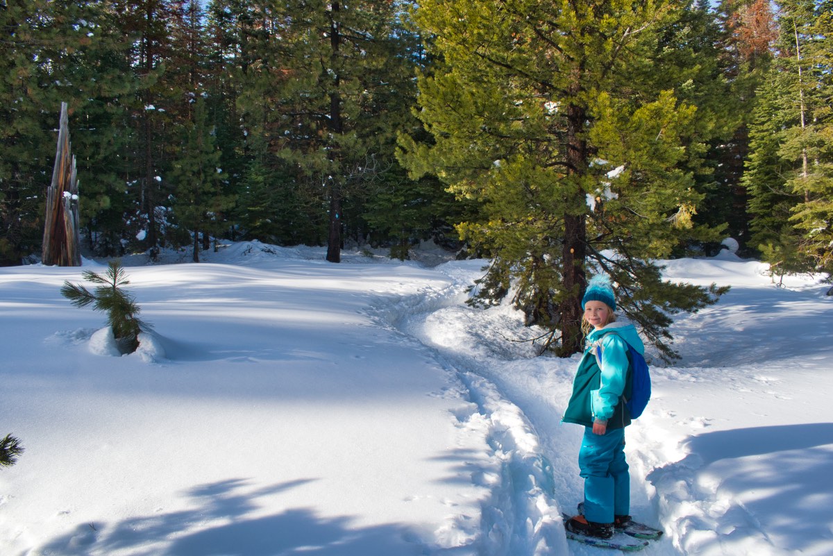 Meissner Shelter Loop Hike Image