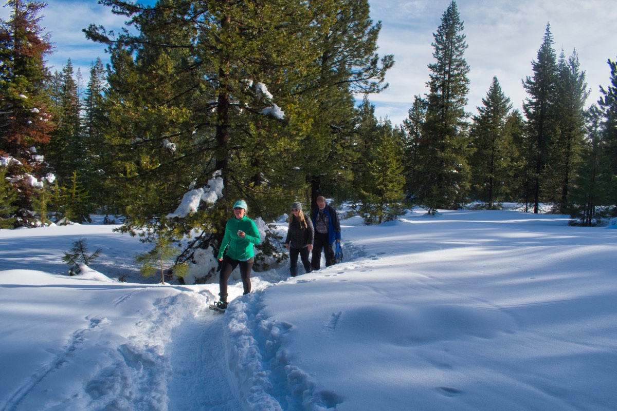 Meissner Shelter Loop Hike Image