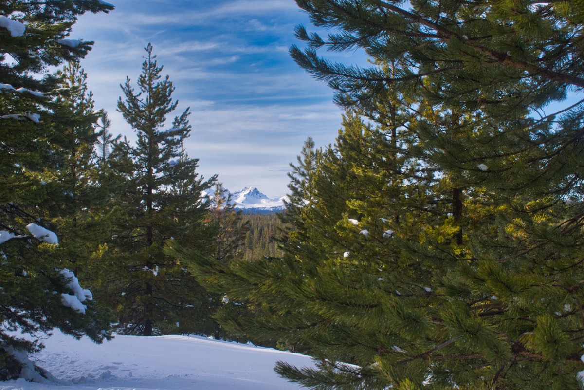 Meissner Shelter Loop Hike Image