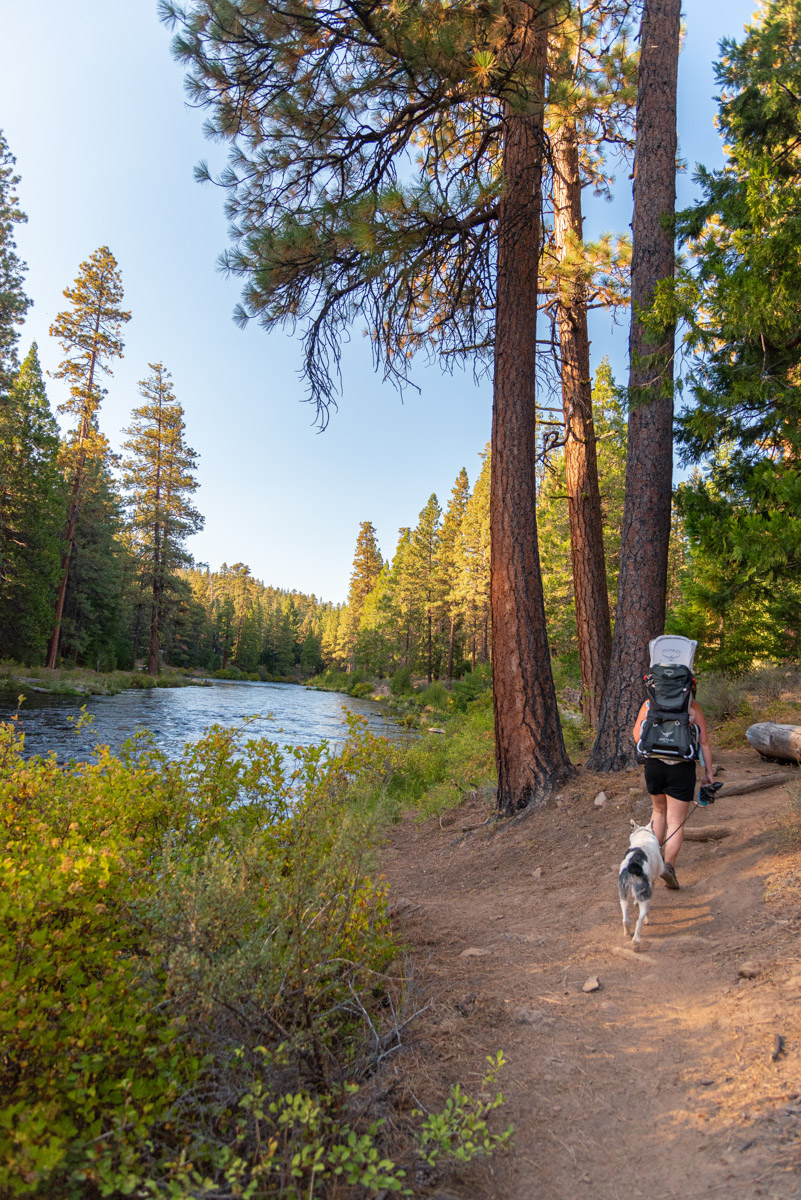 Metolius - Lower Bridge Loop Hike Image