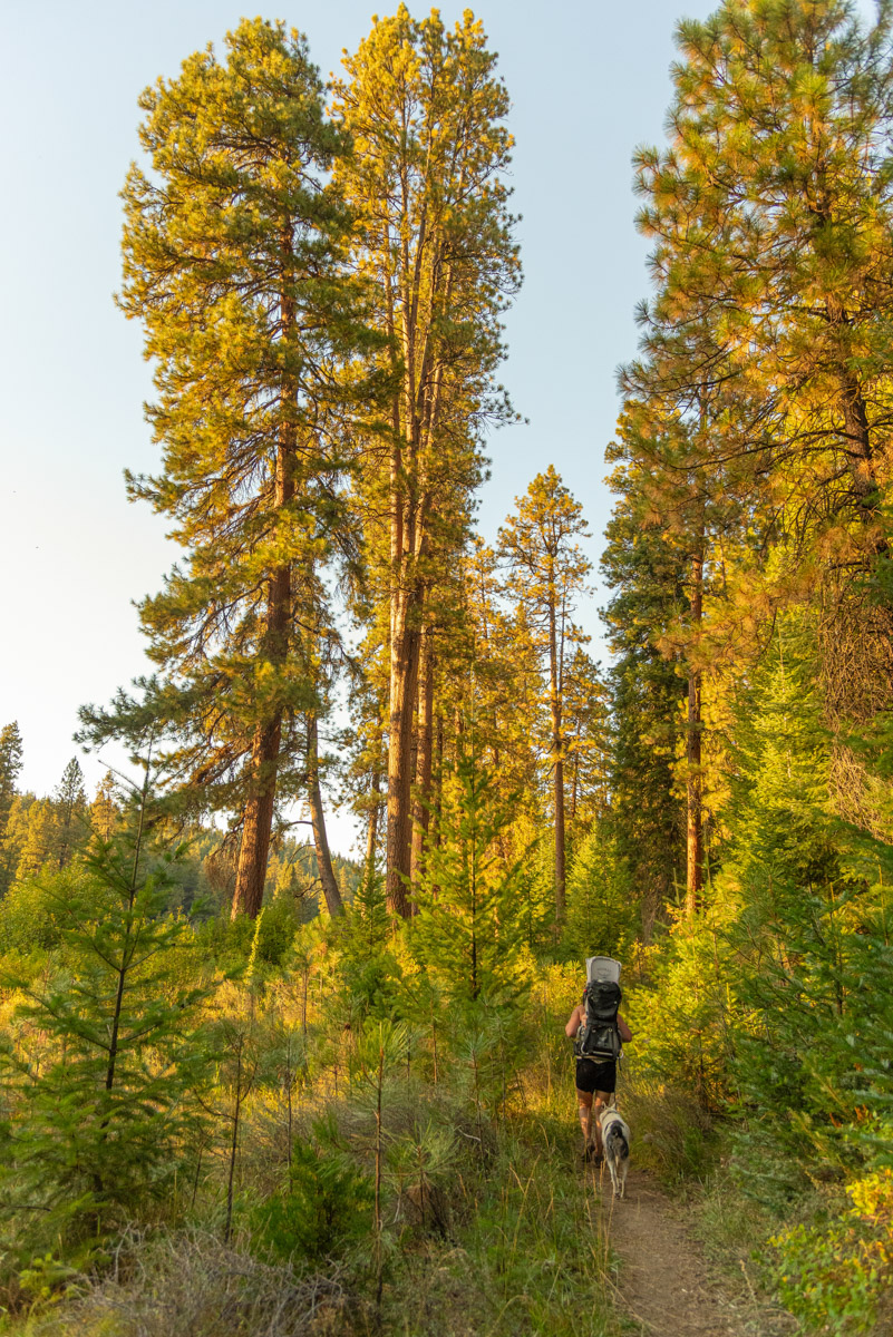Metolius - Lower Bridge Loop Hike Image