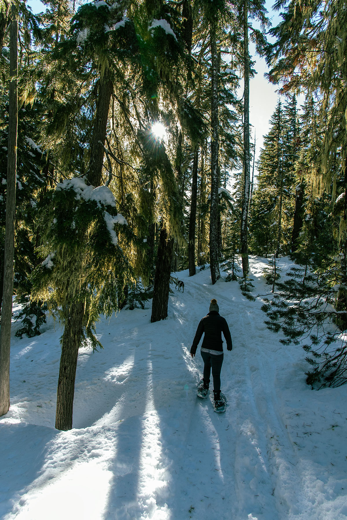 Midnight Lake Hike Image