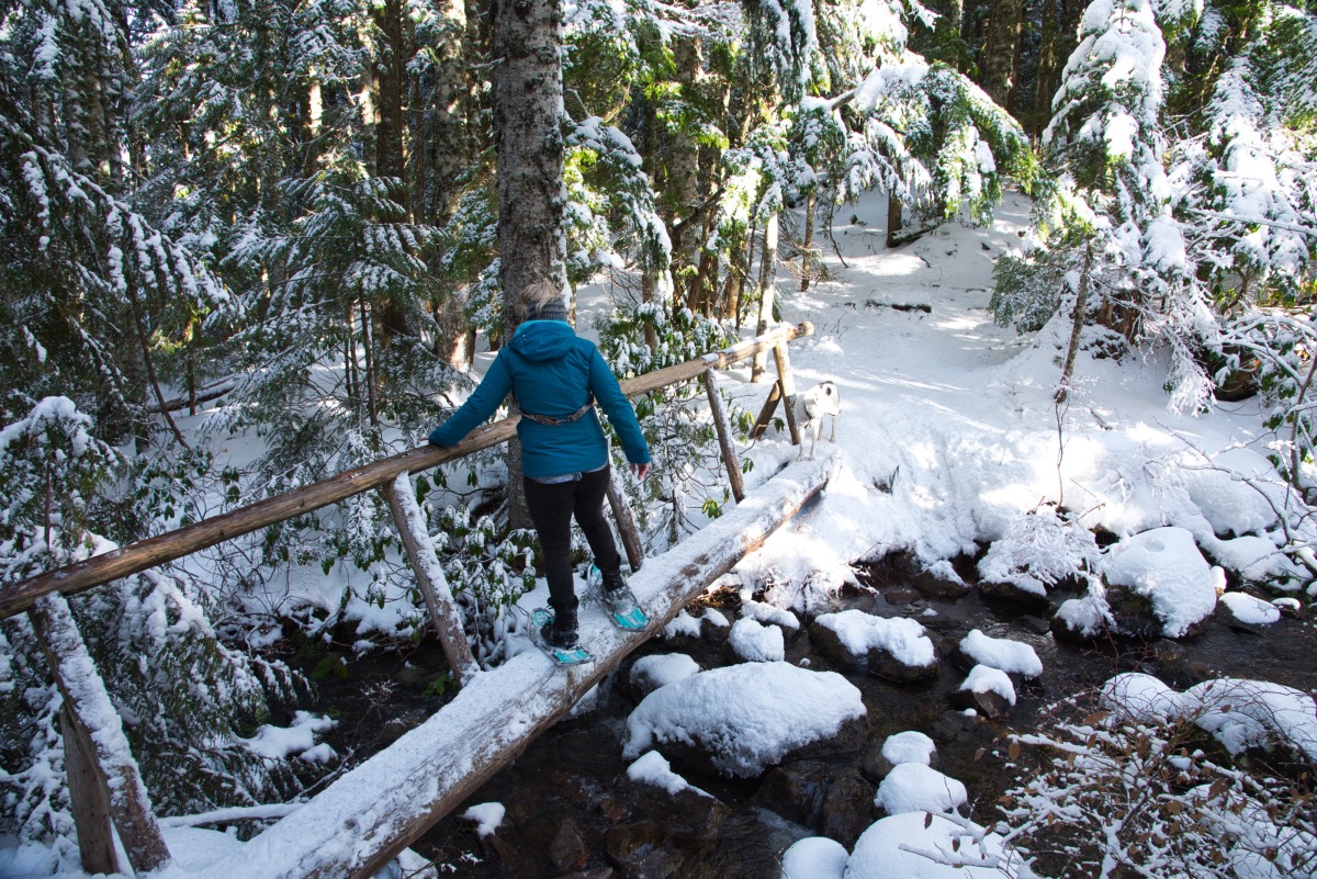 Mirror Lake Hike Image