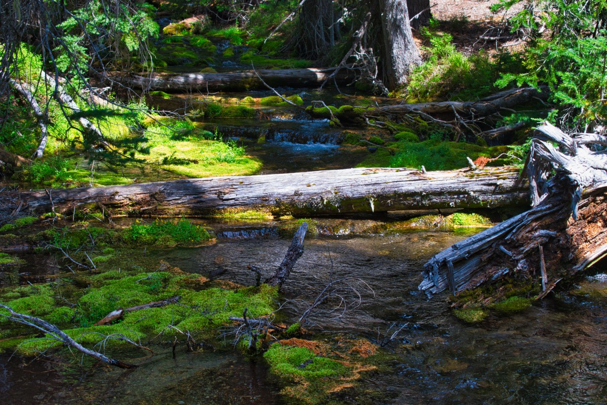Moraine Lake Hike Image