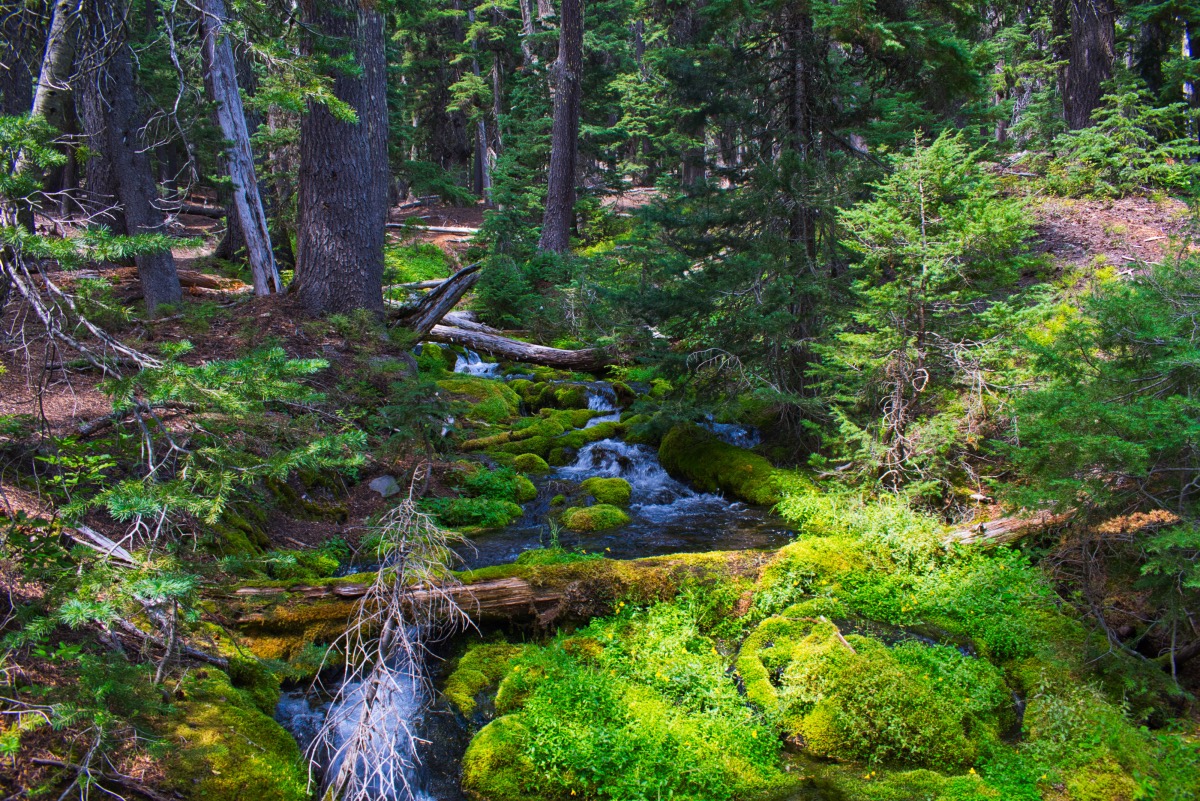 Moraine Lake Hike Image