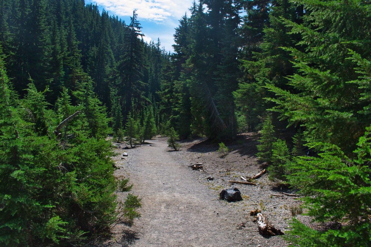 Moraine Lake Hike Image