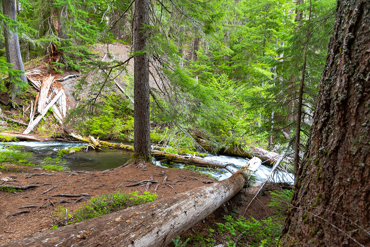 National Creek Falls Hike Image