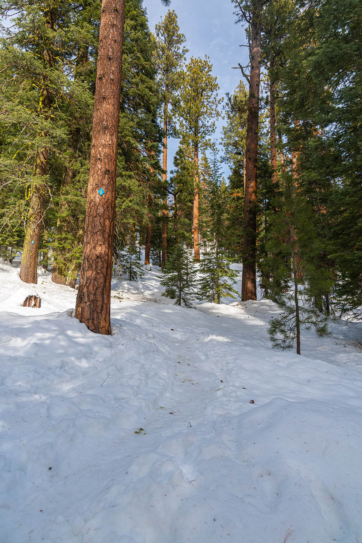Nordeen Shelter Hike Image