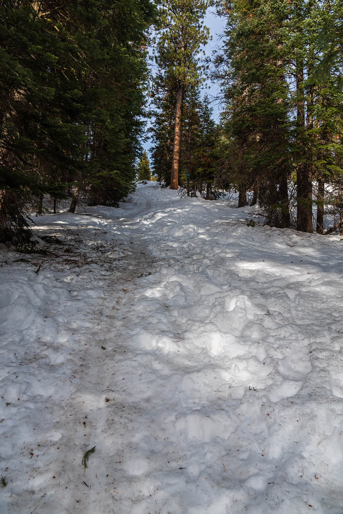 Nordeen Shelter Hike Image