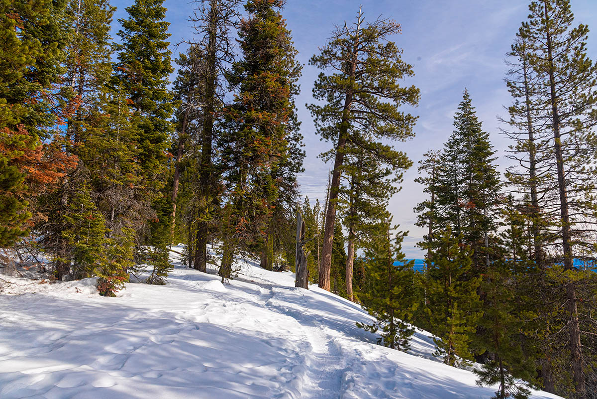 Nordeen Shelter Hike Image