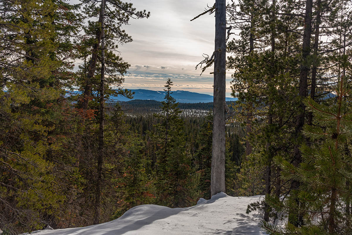 Nordeen Shelter Hike Image