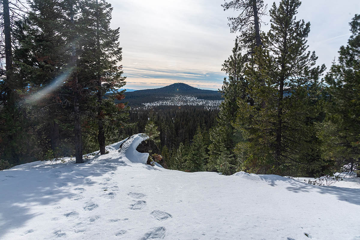 Nordeen Shelter Hike Image