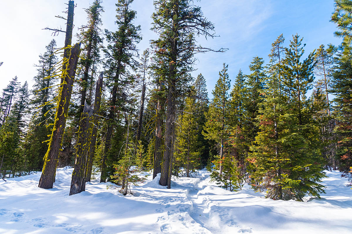 Nordeen Shelter Hike Image