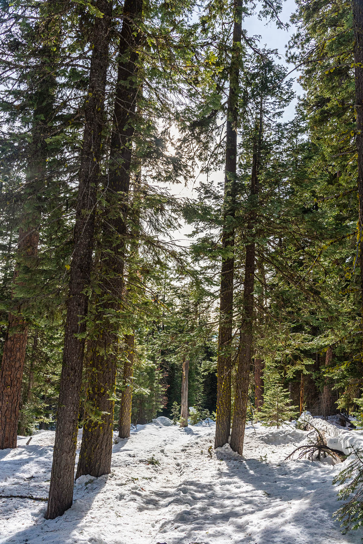 Nordeen Shelter Hike Image