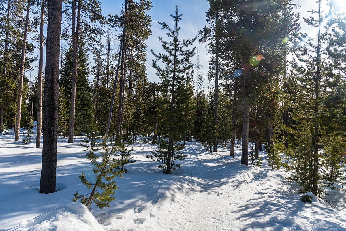 Northstar Loop Hike Image