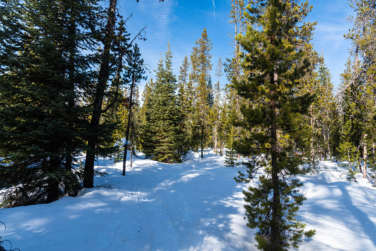 Northstar Loop Hike Image