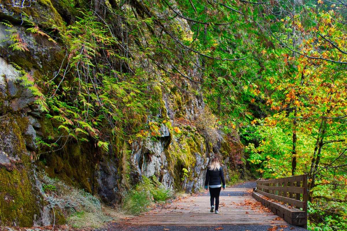 Opal Pool Hike Image