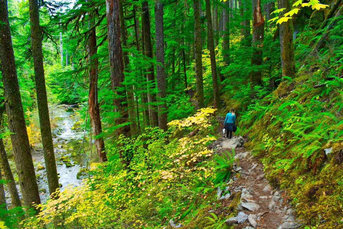 Opal Pool Hike Image