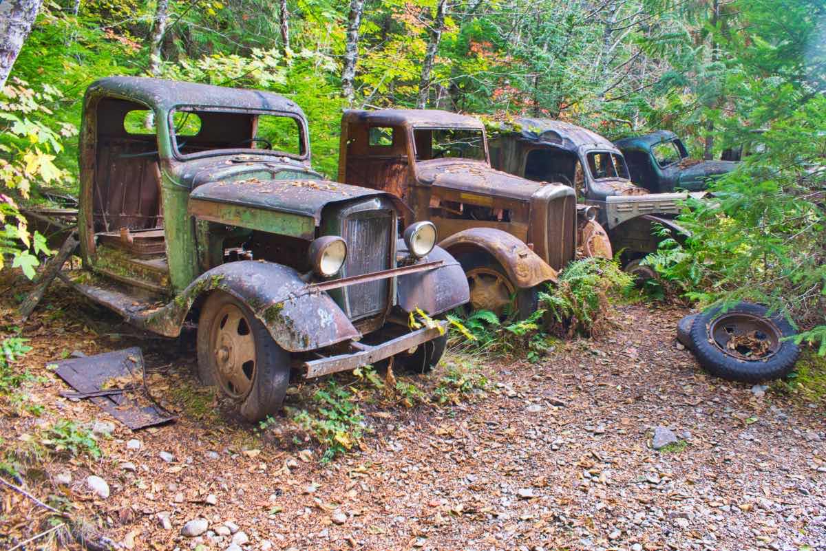 Opal Pool Hike Image