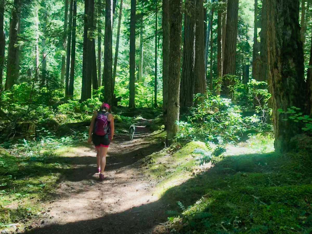 Pamelia Lake Hike Image