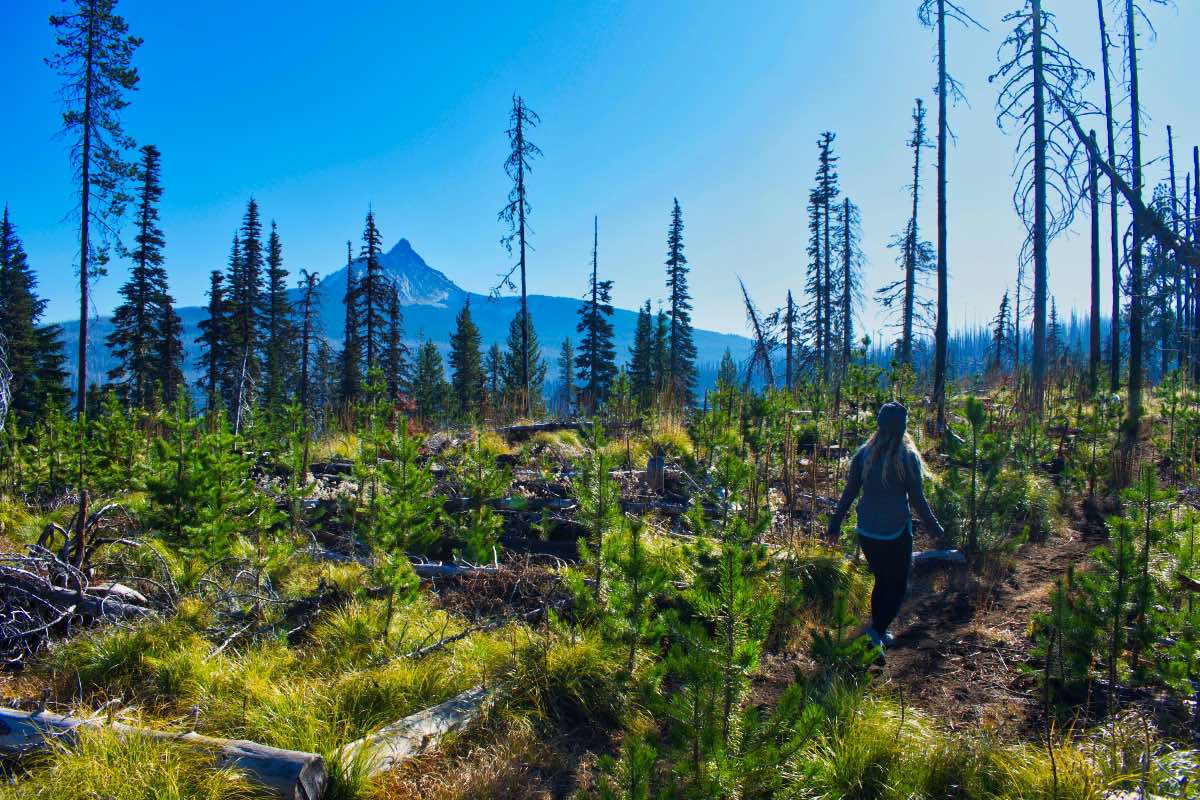 Patjens Lakes Hike Image