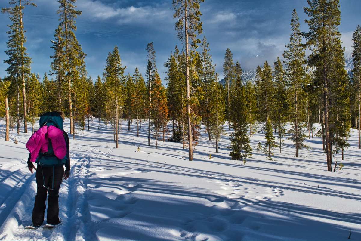 Paulina View Hike Image