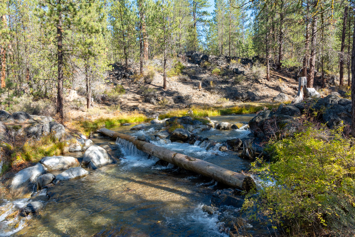 Peter Skene Ogden Trail Hike Image