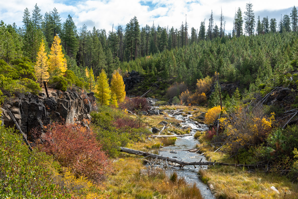 Peter Skene Ogden Trail Hike Image