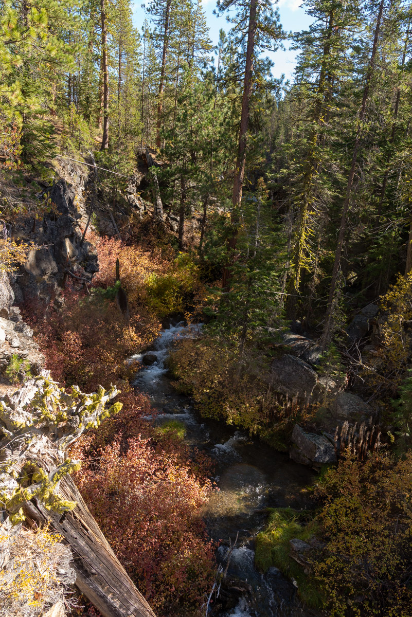 Peter Skene Ogden Trail Hike Image