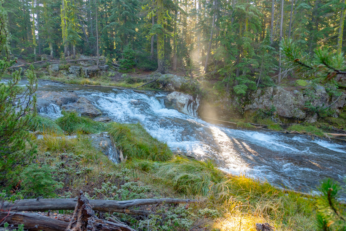 Peter Skene Ogden Trail Hike Image