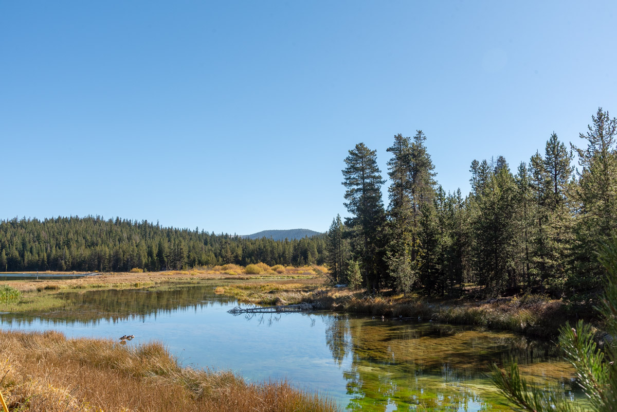 Peter Skene Ogden Trail Hike Image