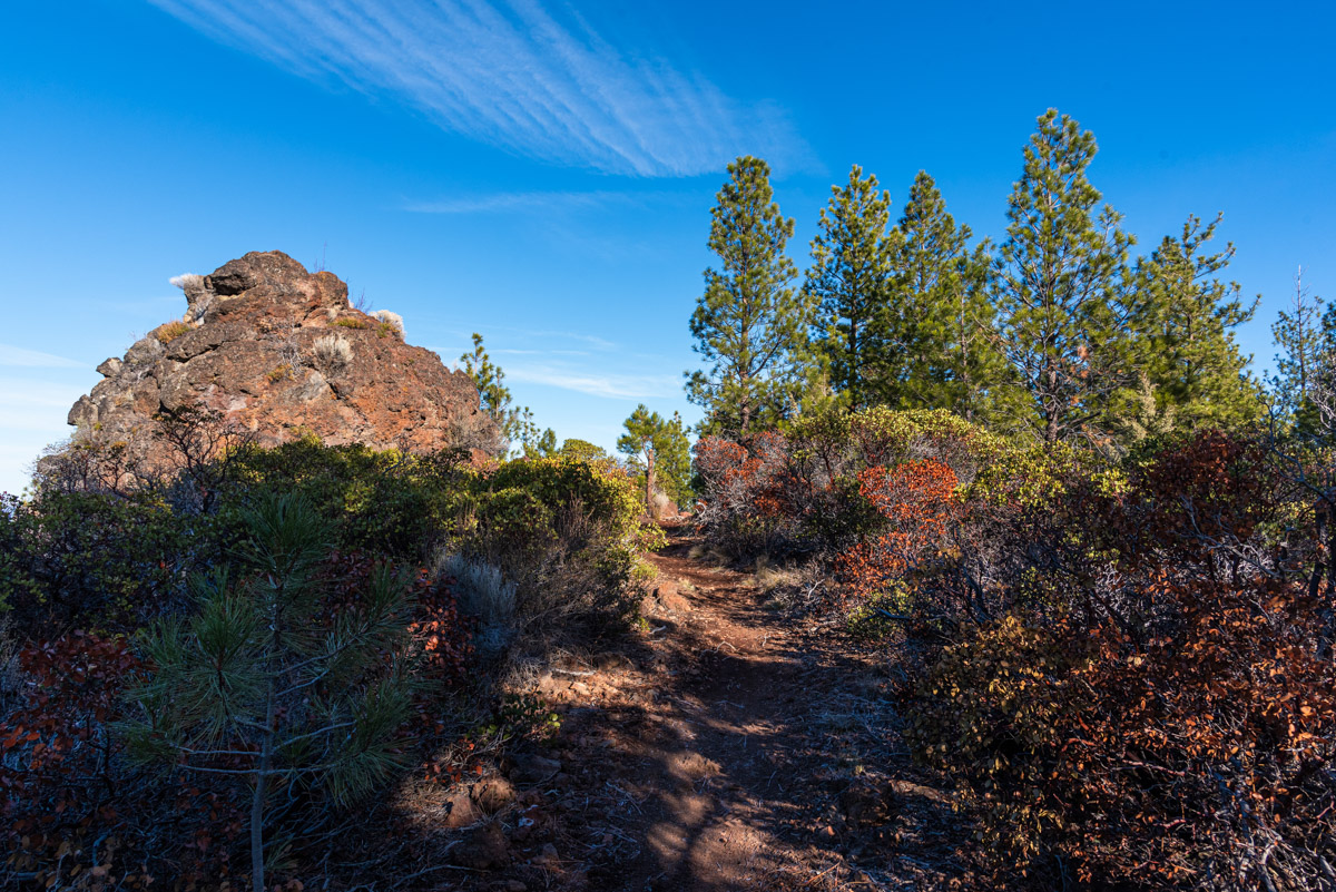 Peterson Ridge Loop Hike Image