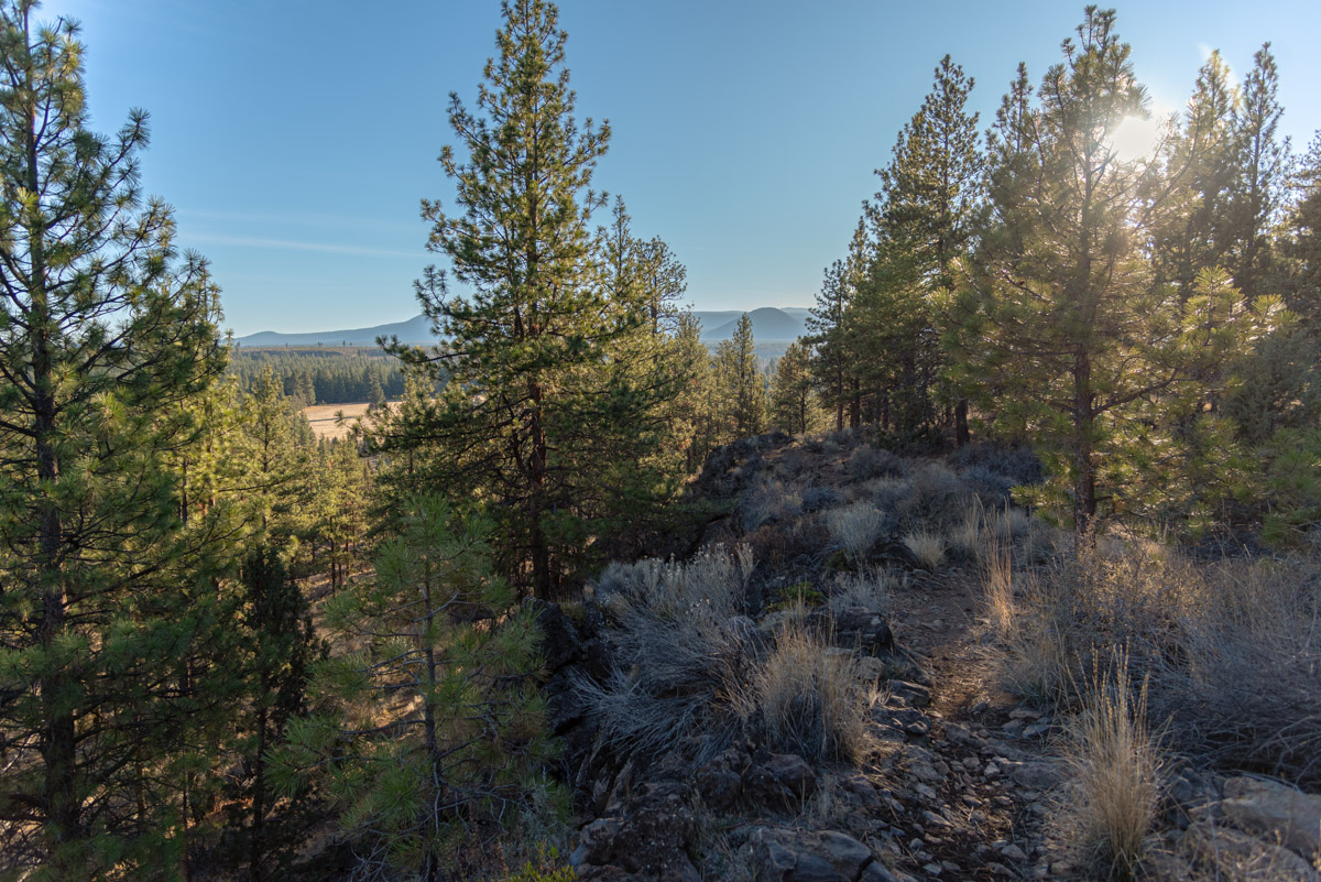 Peterson Ridge Loop Hike Image