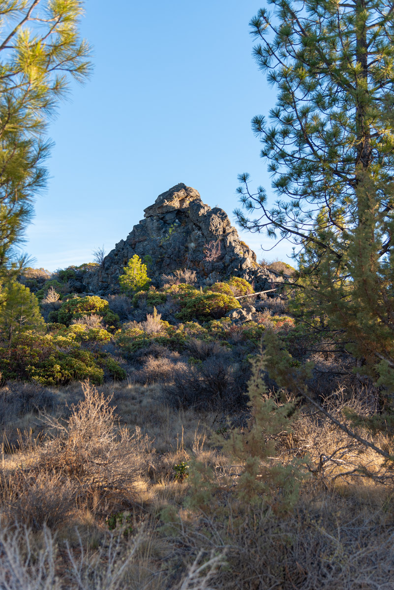 Peterson Ridge Loop Hike Image