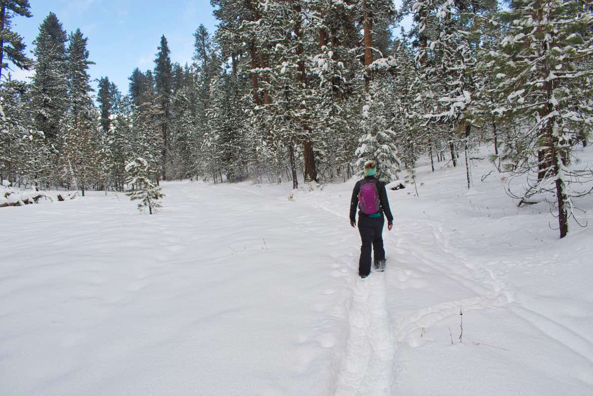 Bandit Springs Ponderosa Loop Hike Image