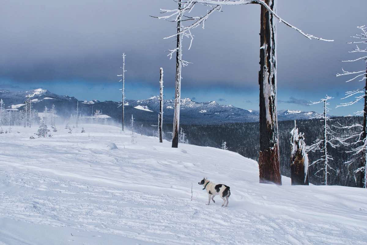 Potato Hill Hike Image