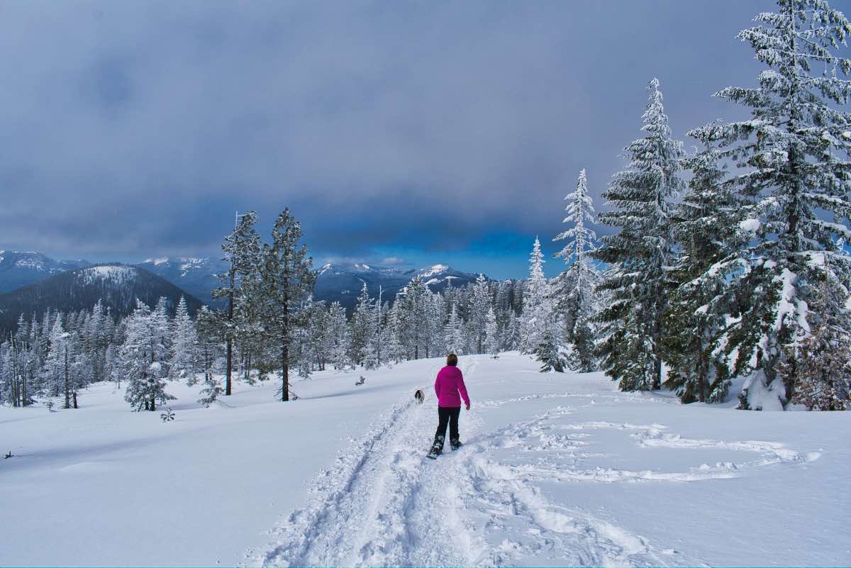 Potato Hill Hike Image