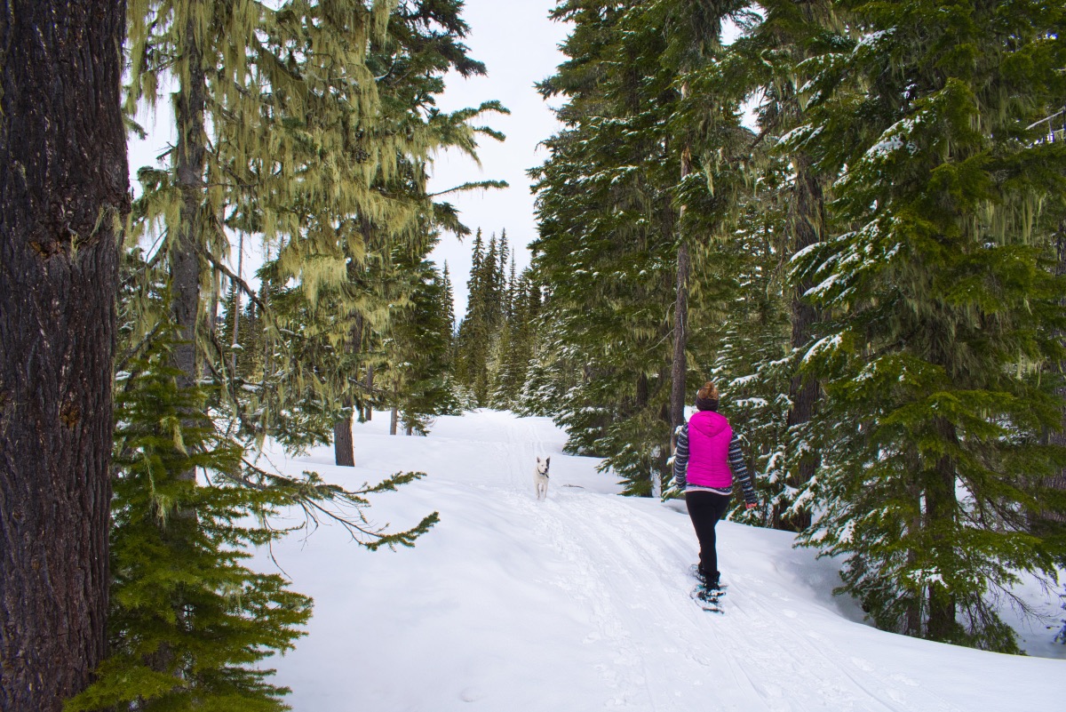 Ray Benson - North Loop Hike Image
