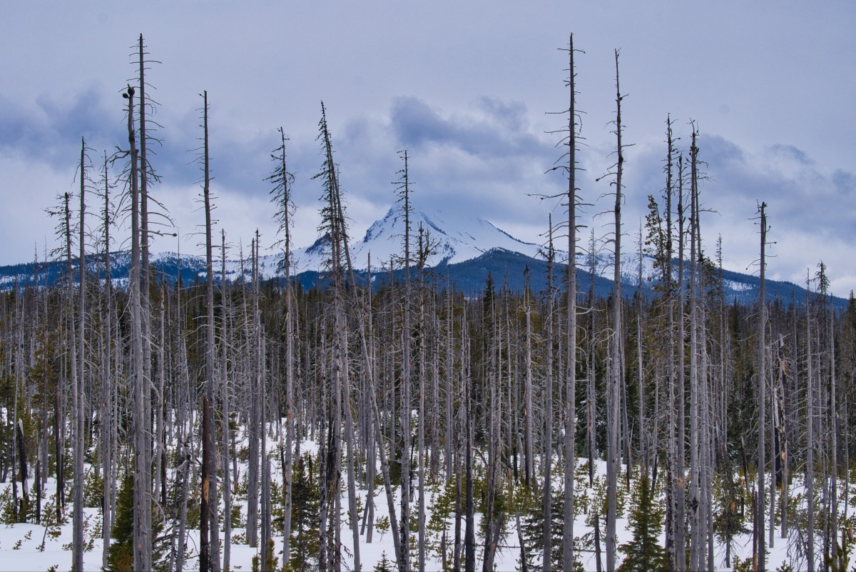 Ray Benson - North Loop Hike Image