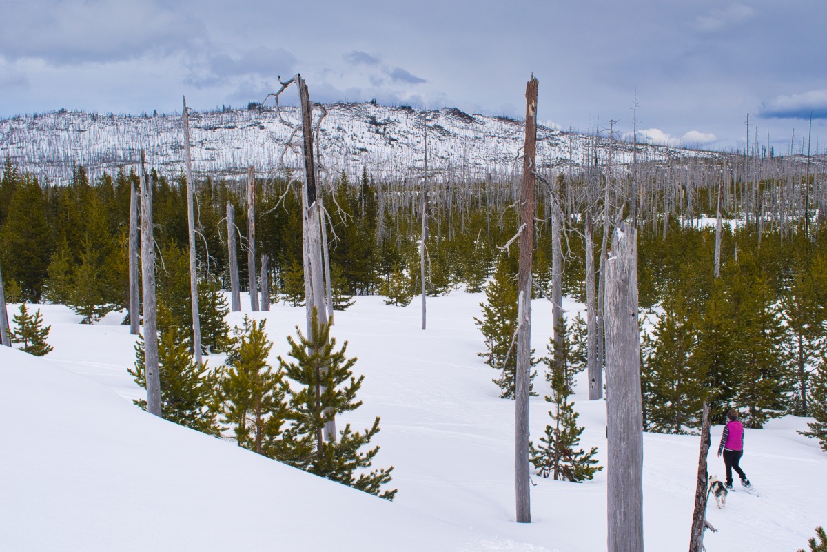 Ray Benson - North Loop Hike Image