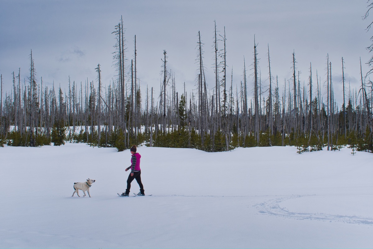Ray Benson - North Loop Hike Image
