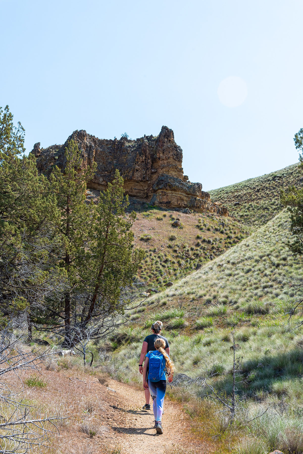 John Day Fossil Beds - Red Hill Loop Hike Image