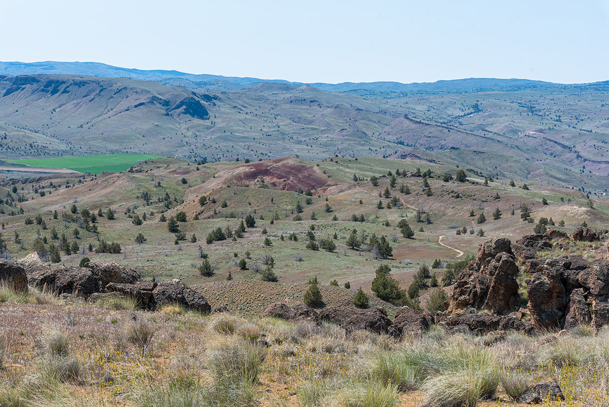 John Day Fossil Beds - Red Hill Loop Hike Image