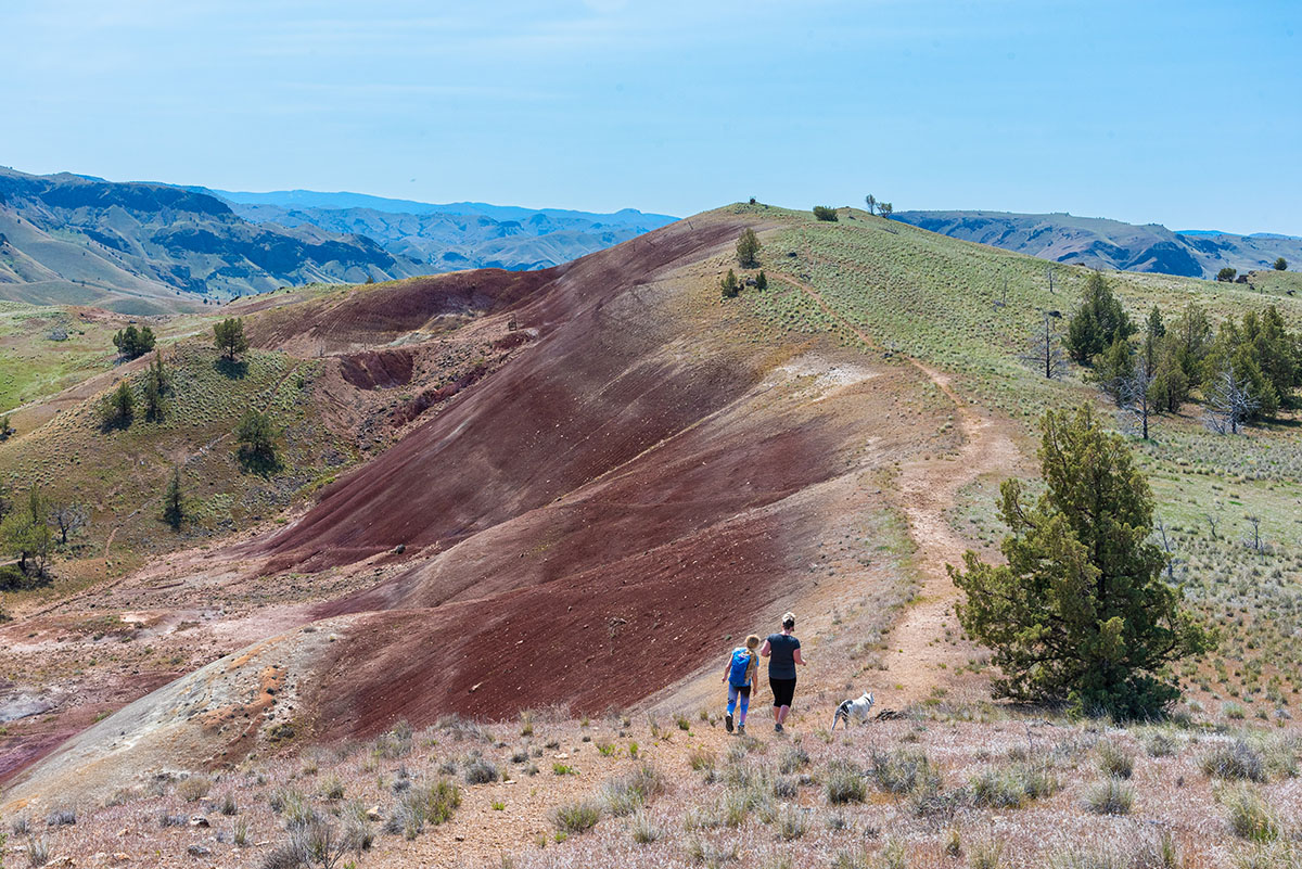 John Day Fossil Beds - Red Hill Loop Hike Image