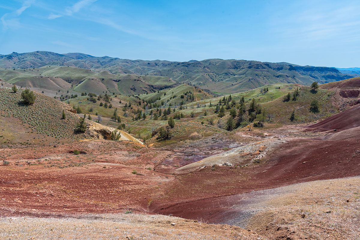 John Day Fossil Beds - Red Hill Loop Hike Image