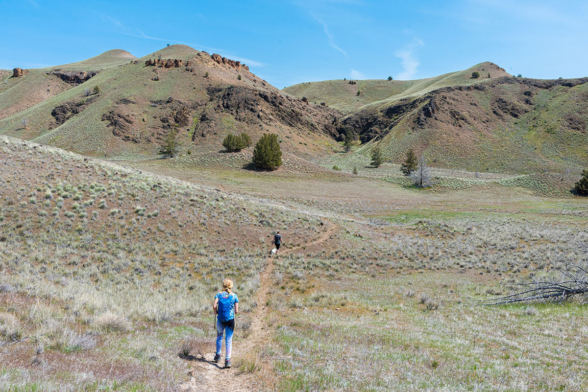 John Day Fossil Beds - Red Hill Loop Hike Image