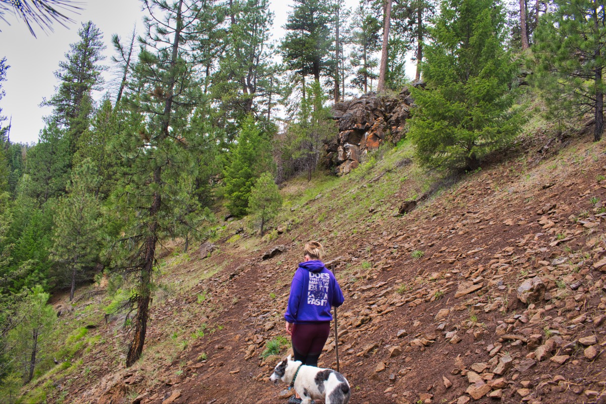 Rock Creek Trail Hike Image