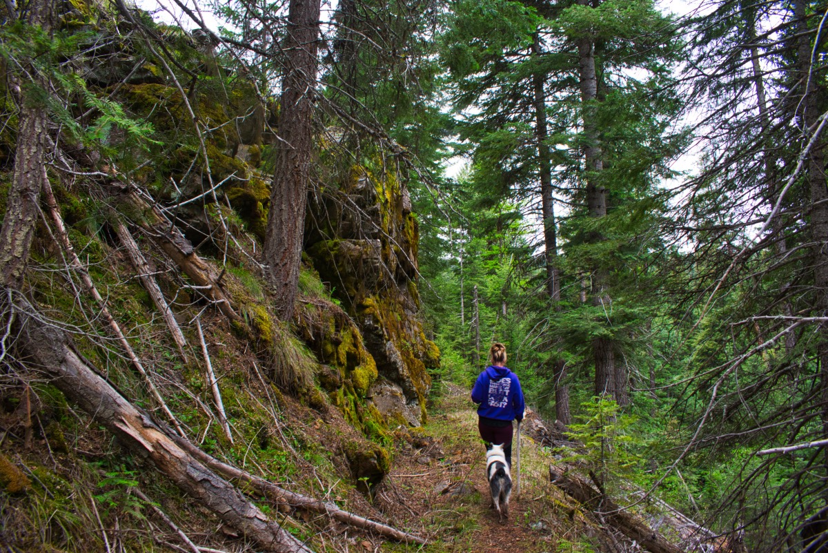 Rock Creek Trail Hike Image
